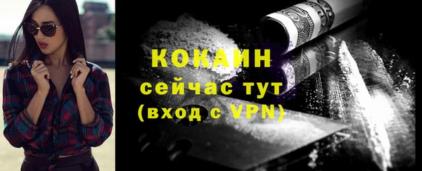 прущие грибы Краснотурьинск
