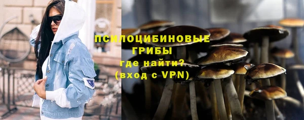 молекула духа Красноперекопск