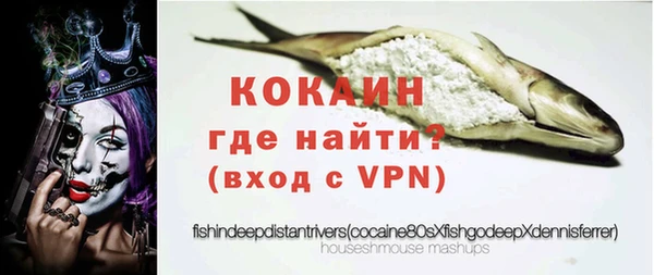 прущие грибы Краснотурьинск