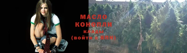 прущие грибы Краснотурьинск