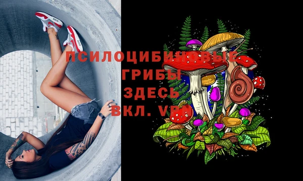 2c-b Краснослободск