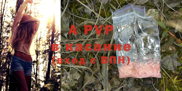 прущие грибы Краснотурьинск