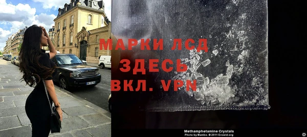 прущие грибы Краснотурьинск