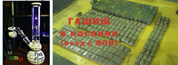 прущие грибы Краснотурьинск